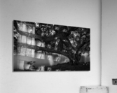 DJ 08580 Acrylic Print