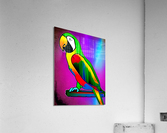 5E70943B 76FA 4C51 9595 91E7DDFEF1FF Acrylic Print