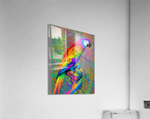 50462EDE 9ADC 42CC BEC1 E192E927BE8C Acrylic Print