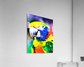 637850EA 15A8 49A3 A023 86AE5C5666BF Acrylic Print