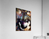 60F10B39 7BB1 4AAF 9C44 C3698FD0ED35 Acrylic Print