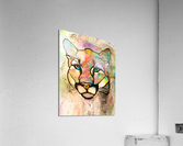 00EF9883 5422 4374 AE1A 33FB05E6AA6F Acrylic Print