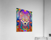 EC510463 4EB7 4A97 91B0 93D31D7FC00C Acrylic Print