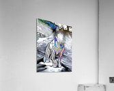 FC1C88AE 9A13 4EE7 AA62 FFB1AF3205E2 Acrylic Print