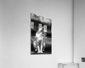 IMG_1324 Acrylic Print