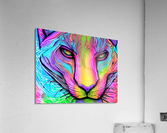 2742400B 7120 4F2B BA22 57020AA8466A Acrylic Print