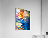 03B80FBA 3926 477E B5A0 25C3AD012858 Acrylic Print