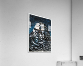 Night Owl Acrylic Print