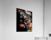 IMG 1085 2 Acrylic Print