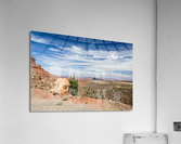 Rock in the Desert Acrylic Print
