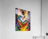 2A27D323 0F36 4B3A A3CA 03B52D9CC08A Acrylic Print