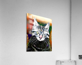 1EFBFFF3 C722 41CA 8268 B239B8501F45 Acrylic Print