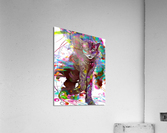 94641280 95AC 48F7 8B7D 2D50FC7A558F Acrylic Print