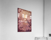 Sakura Moon - II Acrylic Print