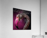 3EAED5E5 7D4D 4B1E ACEF 356BE0FD7D33 Acrylic Print