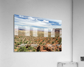Desert Landscape  Acrylic Print