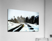 Fairytale Forest Acrylic Print