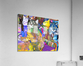 56DFEAFC 5F58 42FC 95E4 1C7E8214A17E Acrylic Print