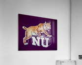 vintage northwestern wildcat nu art  Acrylic Print