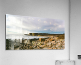 Montauk On Mushrooms Acrylic Print