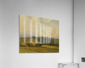 Landscape of a field Acrylic Print