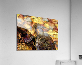 1A0D7A2B 7AFE 49D6 B978 24535421C25A Acrylic Print