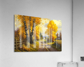 Autumn no.11 Acrylic Print