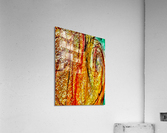 Hazel Eyes Acrylic Print