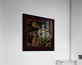 A JAPANESE FOO DOG   Acrylic Print