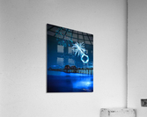 3C372639 8E68 4D24 894F E123D4B318F6 Acrylic Print
