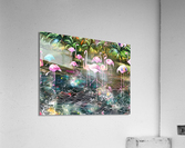 Animal Kingdom Flamingo Gathering Acrylic Print