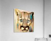 Panther Surprise  Acrylic Print