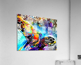 Best Turtle  Acrylic Print