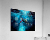 Amazing Sea Turtle Acrylic Print