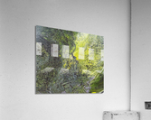 LightSoul Acrylic Print