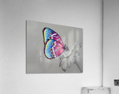 Faith Acrylic Print