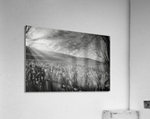 Morning Countryside Andalucia Spain Acrylic Print