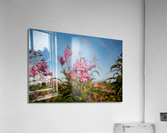 01092020 tirage isadora photo voyage côte nord  1678551943.8116 Acrylic Print