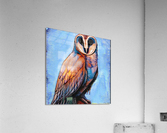 Barn Owl by T. A. Asbell  Acrylic Print