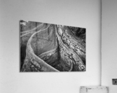 20221027 DSC 7314 Edit bw 16x24 Acrylic Print