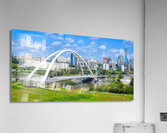 Edmontons Iconic Walter Dale Bridge: A Captivating Ultra-High Resolution Photograph of Modern Architecture and Natural Splendor Acrylic Print