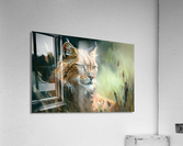 Wild no.30 Acrylic Print