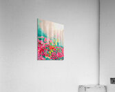 Backlight Bouganvilleas  Acrylic Print