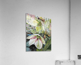 IceNRosesRed Acrylic Print