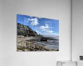 Pismo Beach California Acrylic Print