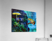 Red Eyed Tree Frog  Acrylic Print