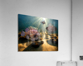 Lionfish Acrylic Print
