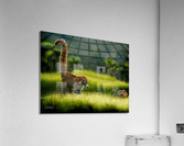 Coatimundi Family Acrylic Print