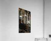 Sheep triplet on ridge Seward highway Acrylic Print