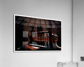 Shadows  Acrylic Print